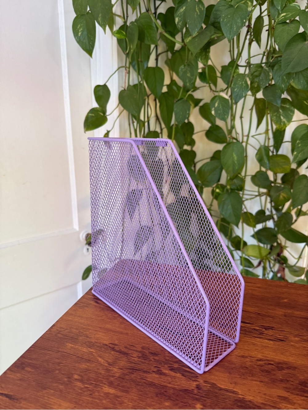 Purple Mesh Magazine File Holder